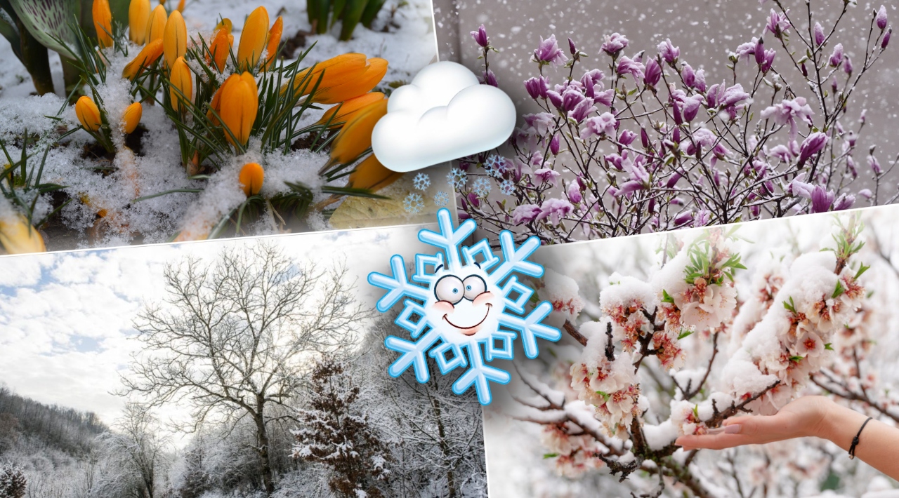 Ninsori în plină primăvară! Anunțul făcut de meteorologi pentru lunile aprilie și mai