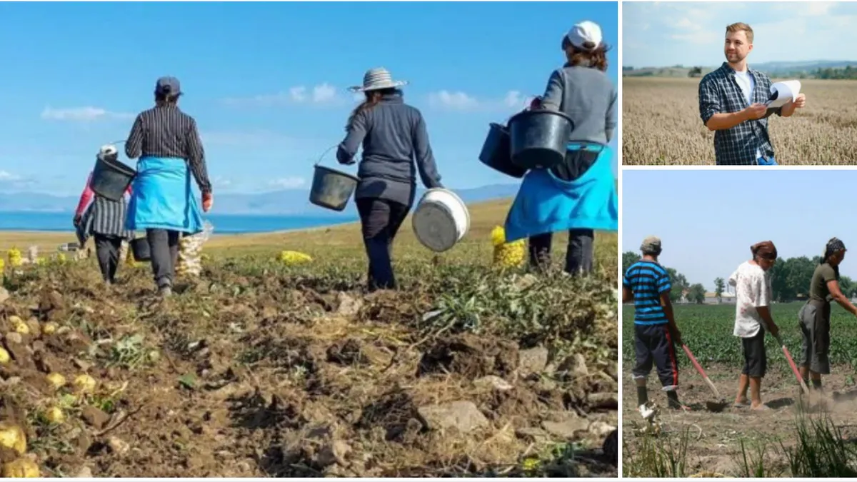 Tot ce trebuie să ştii despre munca zilieră în 2026. Care domenii sunt permise, cât este plata minimă şi ce obligaţii au beneficiarii