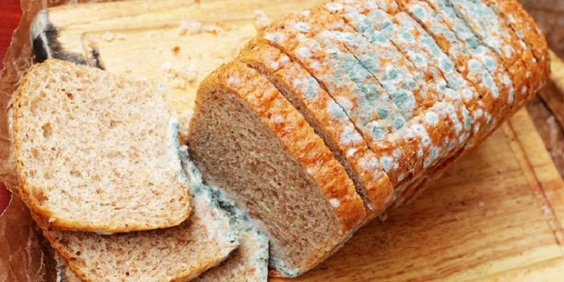 Ce se întâmplă în corp dacă mănânci pâinea mucegăită. Mulți români nu știu la ce risc se expun