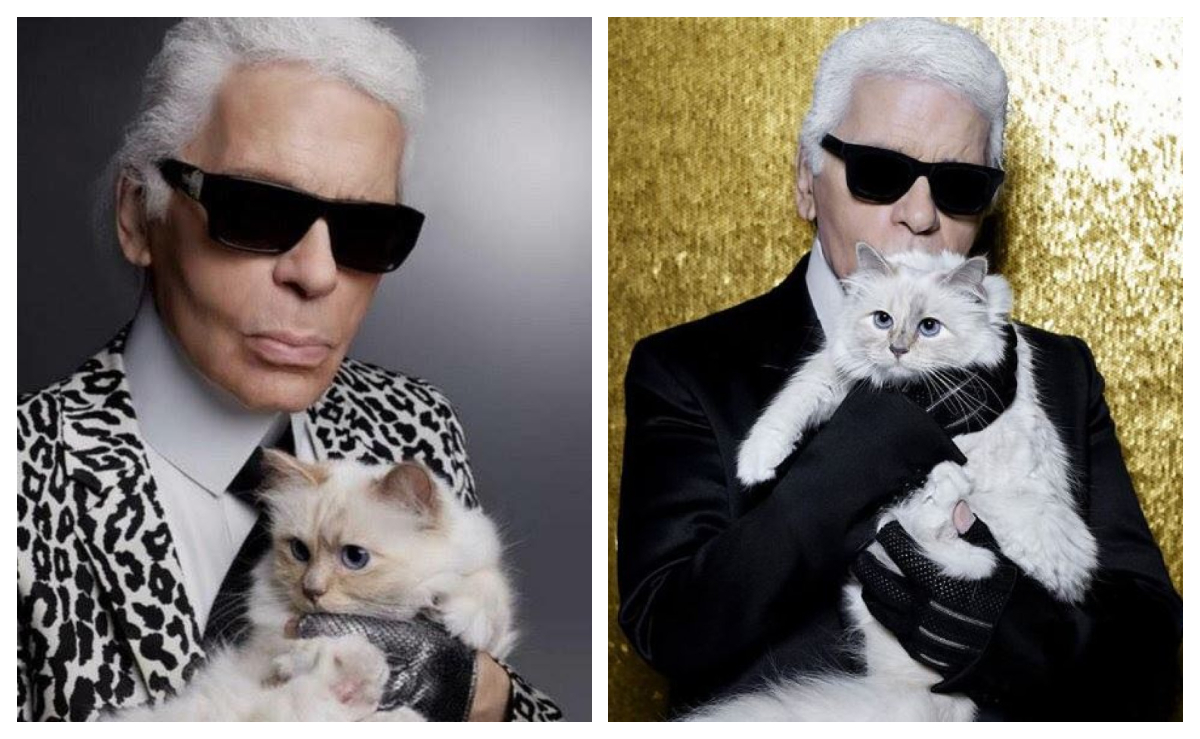 Pisica lui Karl Lagerfeld riscă să rămână săracă. Testamentul designerului a fost contestat