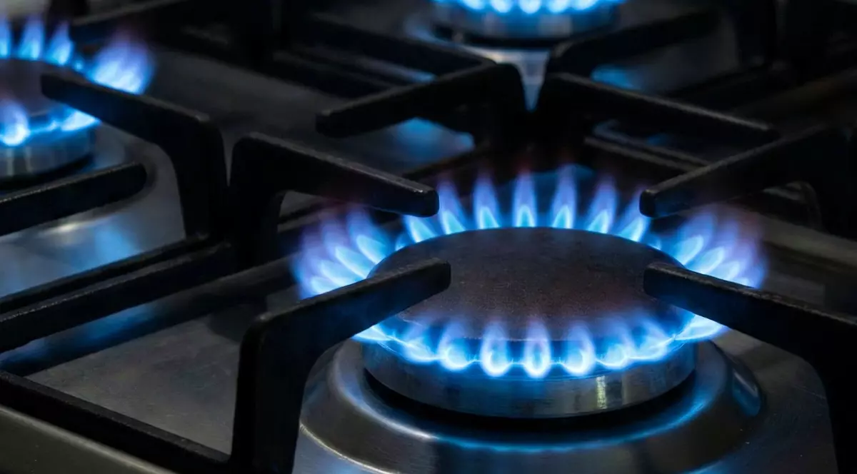 Bâlbe instituţionale şi informaţii contradictorii ajunse la români, care nu ştiu cât vor plăti pentru gaze de la 1 aprilie. Clarificări din partea şefului ANRE
