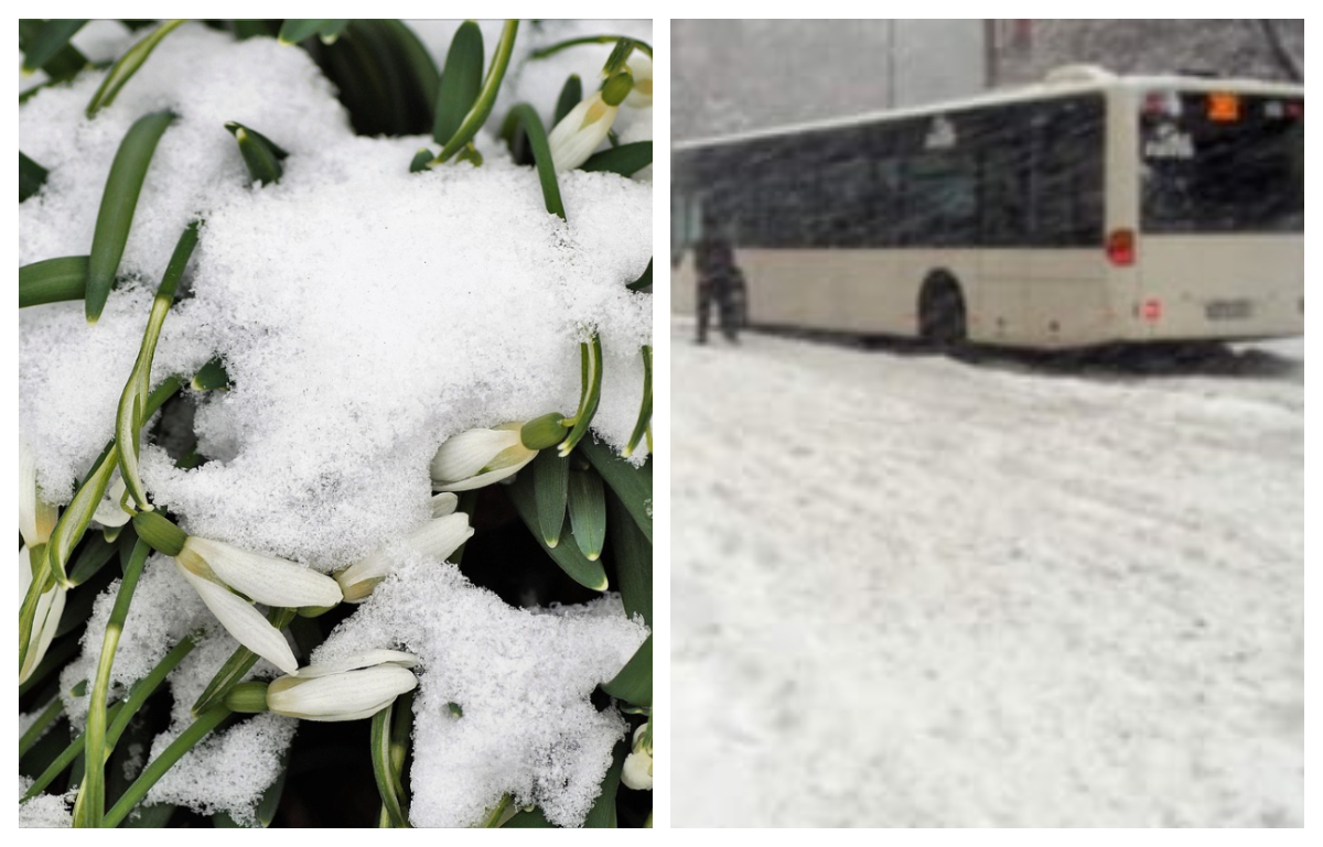 Se întorc ninsorile în România. Câte zile va ninge în București, în luna martie. Date de ultimă oră de la meteorologi