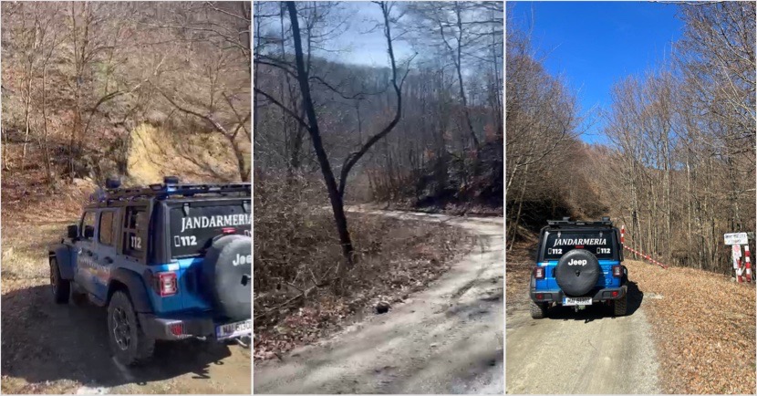 Ro Alert după ce un bărbat a fost atacat de urs în Vâlcea