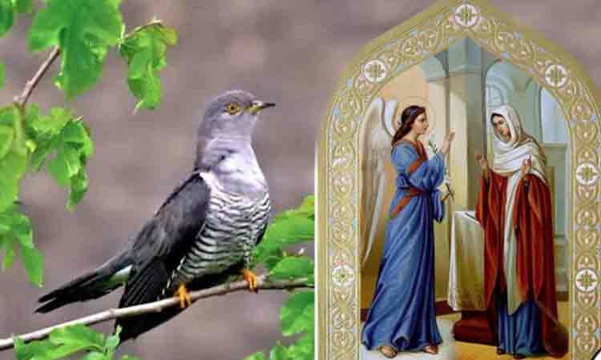 Ce înseamnă când auzi cucul de Buna Vestire 2026. Tradiţii, superstiţii şi semnele care îţi pot schimba anul