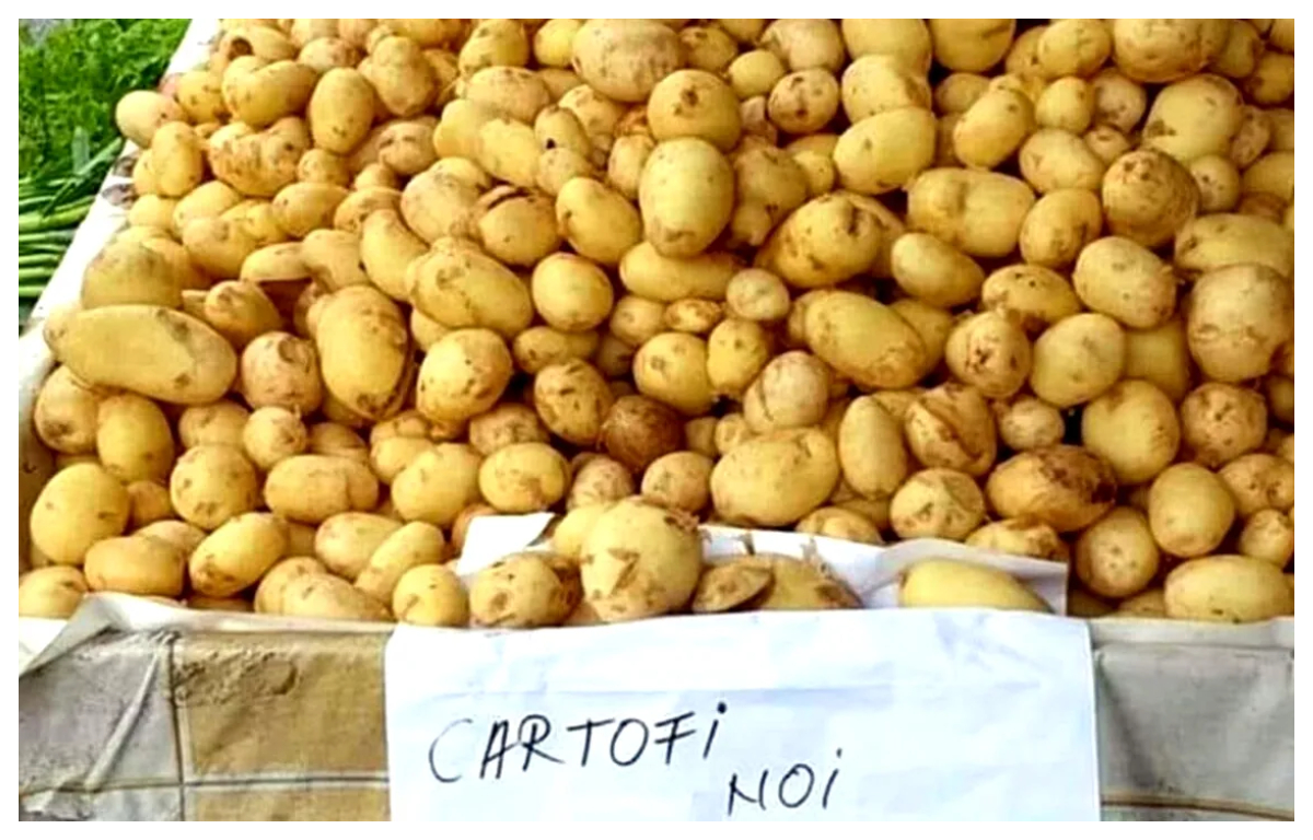 S-a scumpit masiv mâncarea săracului! Cartofii noi româneşti sunt mai scumpi decât ceafa de porc, iar roşiile „cu moţ” rivalizează cu o friptură de vită