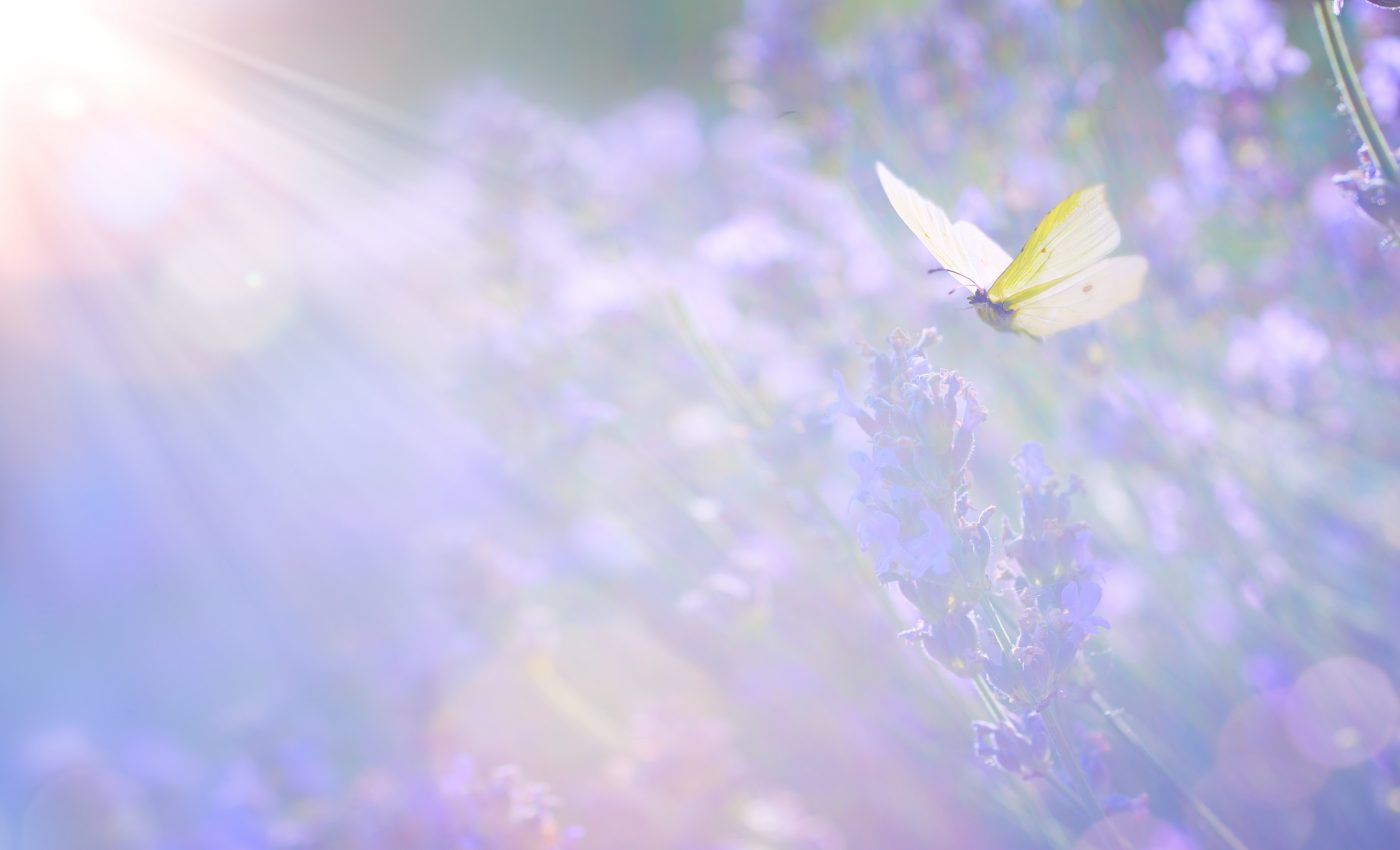 Horoscop aprilie 2026. primăvara vine cu răsturnări subtile, dar decisive. Ce EVENIMENTE astrale ne pot schimba viața în această lună?