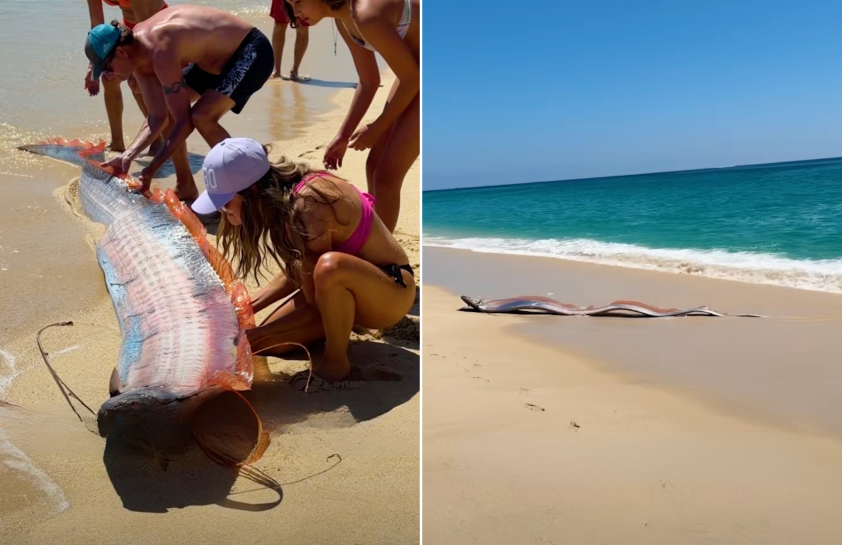 Apariție de coșmar pe plajele Mexicului. Doi „pești ai apocalipsei” au fost găsiți la țărm! Legenda înfiorătoare care îi face pe localnici să tremure