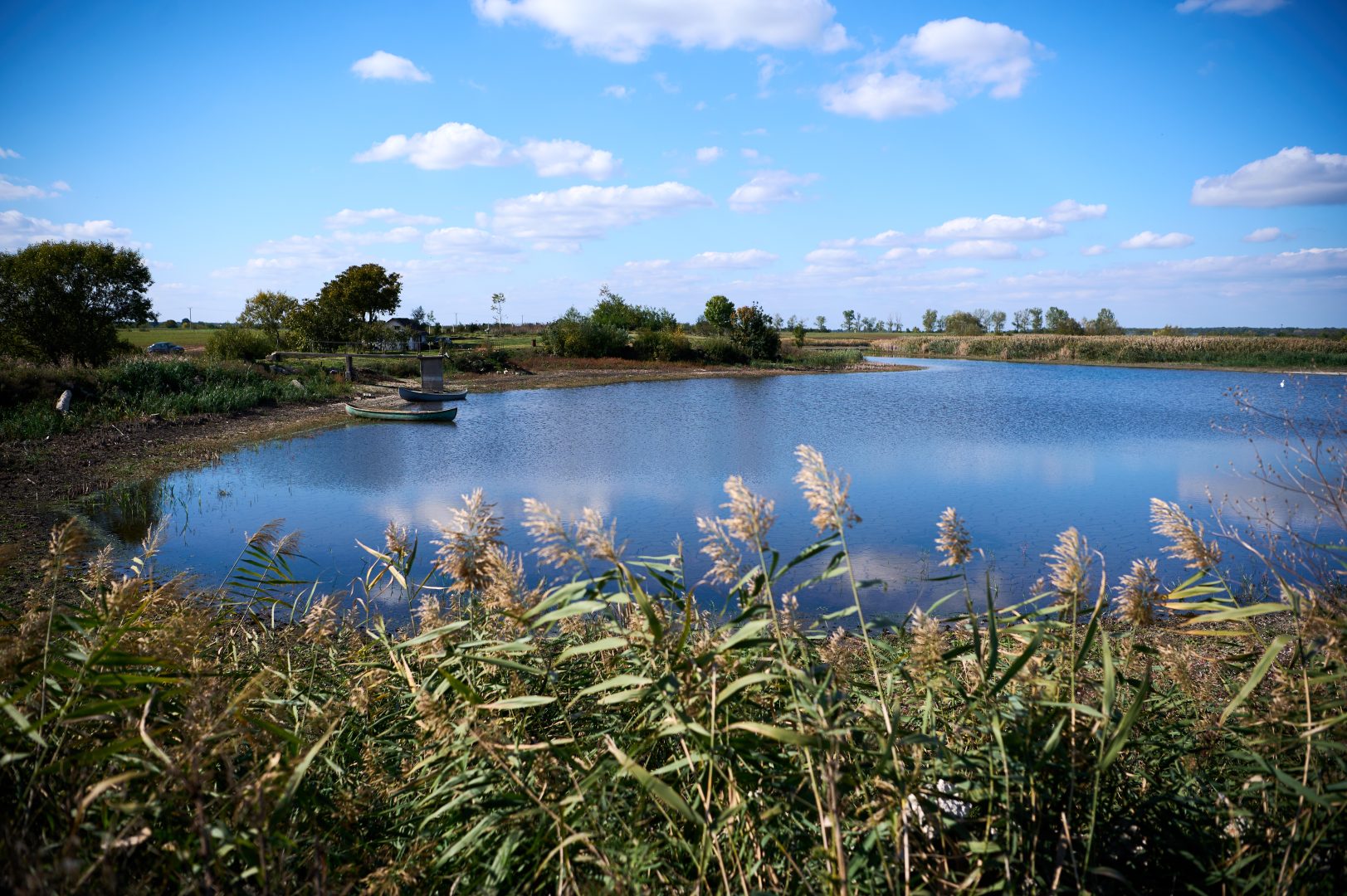 Circularitatea apei, noul obiectiv major al Philip Morris România: pași concreți și impactul local