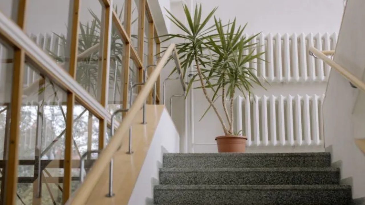 Regula pe care locatarii de la bloc trebuie să o respecte. În caz contrar, vecinii pot depune reclamații