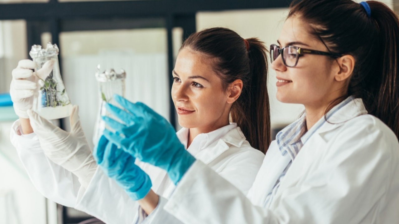 Un absolvent al Facultății de Chimie din București câștigă un salariu de aproximativ 5.400 de lei net pe lună. Ce arată datele