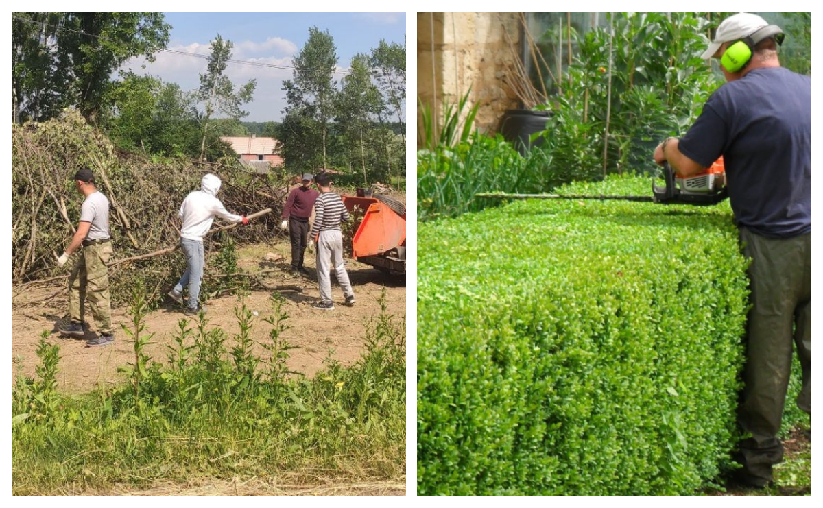 Obiceiul care aduce amenzi uriașe românilor care locuiesc la curte. Greșeala pe care o fac mulți români când își curăță grădinile