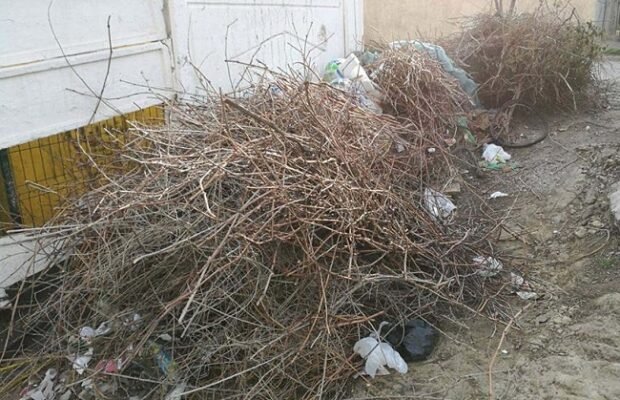 Curățenie de primăvară, fără foc. Ce riști dacă arzi resturi vegetale de la pomi sau vița de vie