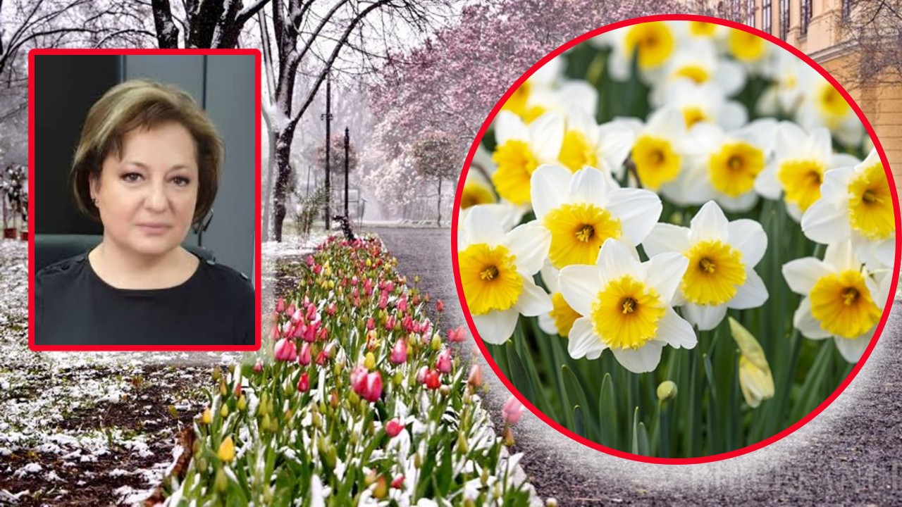 Florinela Georgescu anunţă valul doi de fenomene extreme. ANM a actualizat prognoza de Florii şi Paşte 2026