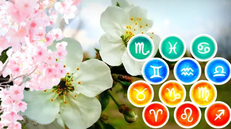 HOROSCOP 11 martie 2026. inele comun este mai important acum decât satisfacerea unor orgolii mărunte supradimensionate