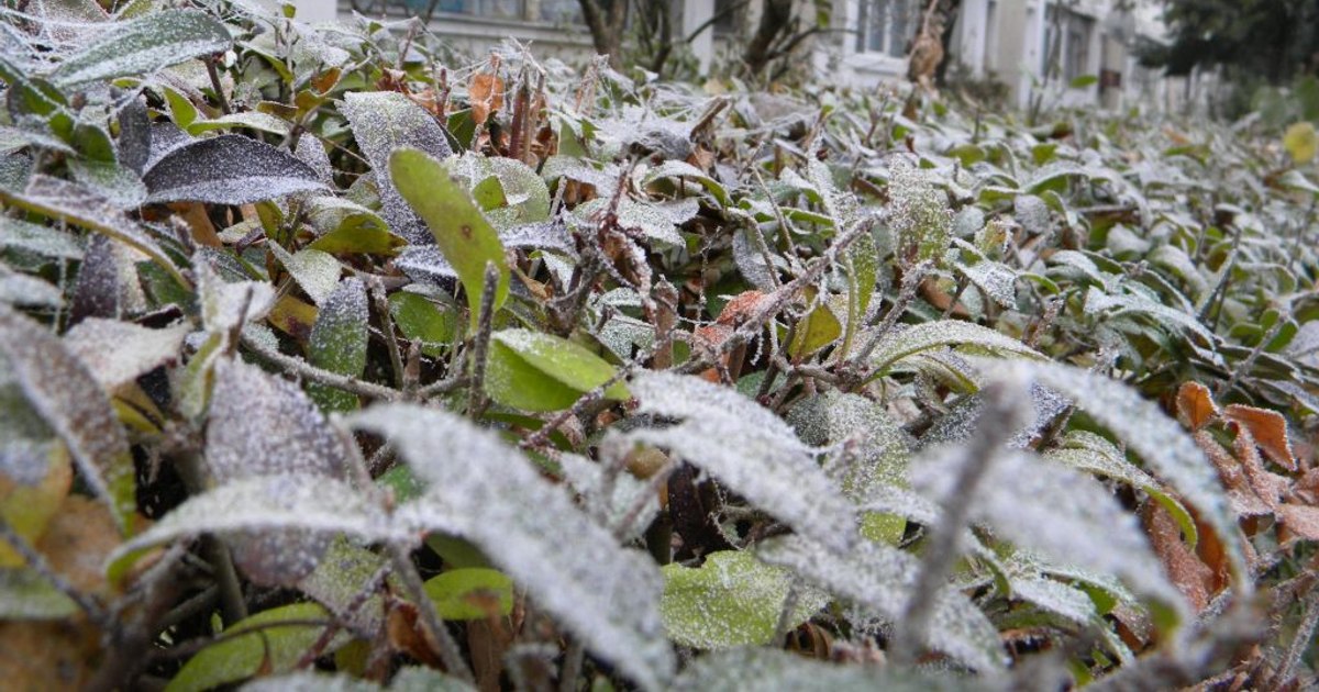 Vremea se schimbă în România. Cât vor mai fi temperaturile de îngheț noaptea și dimineața. Prognoza meteo ANM în perioada 17 martie – 12 aprilie 2026