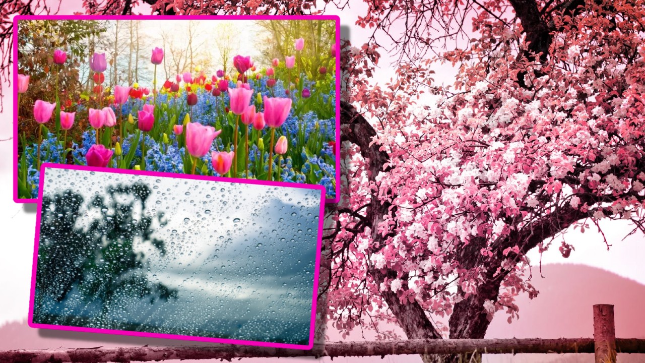 Prognoza meteo: Primăvara lui 2026 caracterizată prin contraste puternice de temperatură, cu perioade calde întrerupte de episoare reci