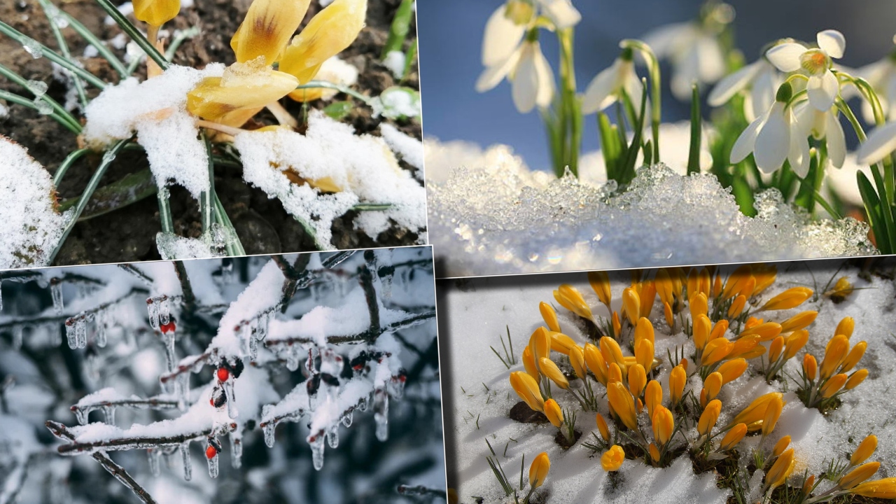 8 zile consecutive de ninsoare în România. Anunțul făcut de meteorologii Accuweather