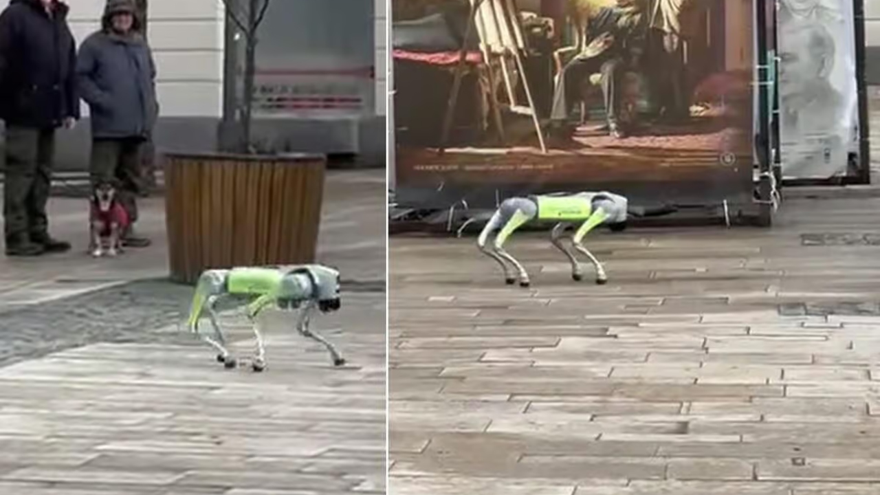 Câini umanoizi vor ajuta la curățenia orașului în Târgu Mureș. Proiectul de 1 milion de euro prin care se vrea menținerea ordinii publice: „Vor semnala neregulile de pe stradă, vor alerta echipele de intervenție”