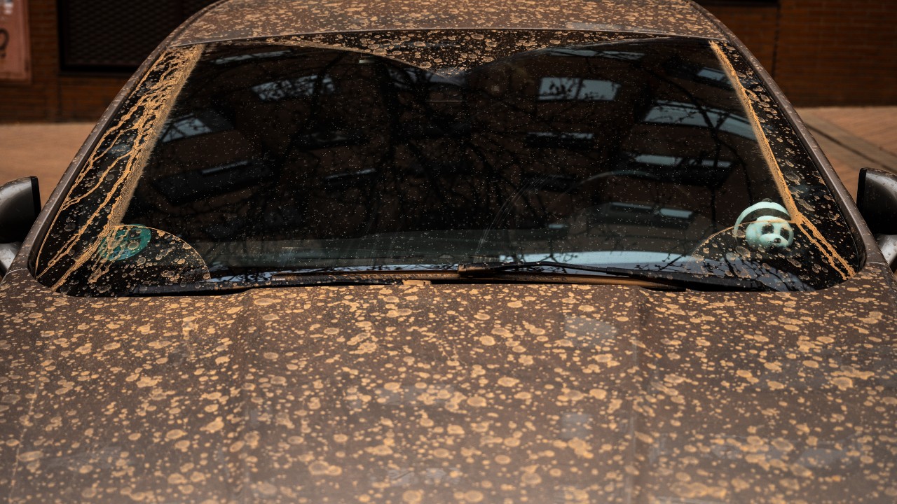 Un nor de praf saharian ajunge deasupra României. Ce efecte poate avea asupra sănătății