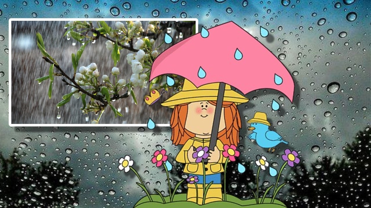 Prognoza meteo 31 martie 2026. Vreme închisă, cu ploi, lapoviță și ninsoare. Un nou val de instabilitate armosferică lovește România