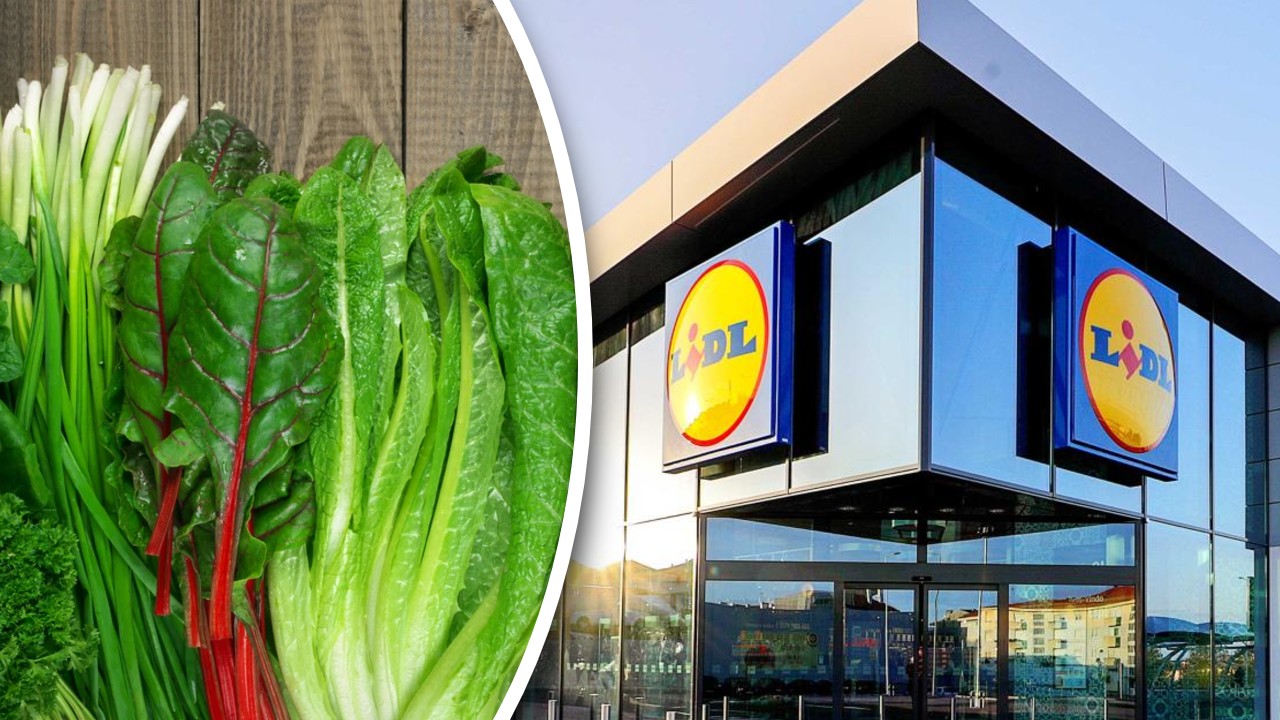 Au apărut primele verdețuri la Lidl. Razele de soare vestesc oferte irezistibile la legumele de primăvară