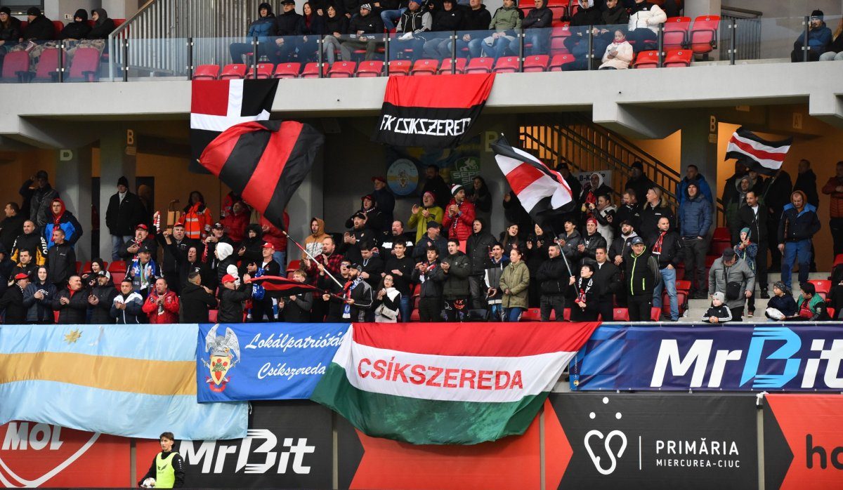 Scandal în Parlament: de ce se opune UDMR modificării legii privind comportamentul pe stadioane. Proiectul de lege vizează inclusiv reintroducerea consumului de alcool