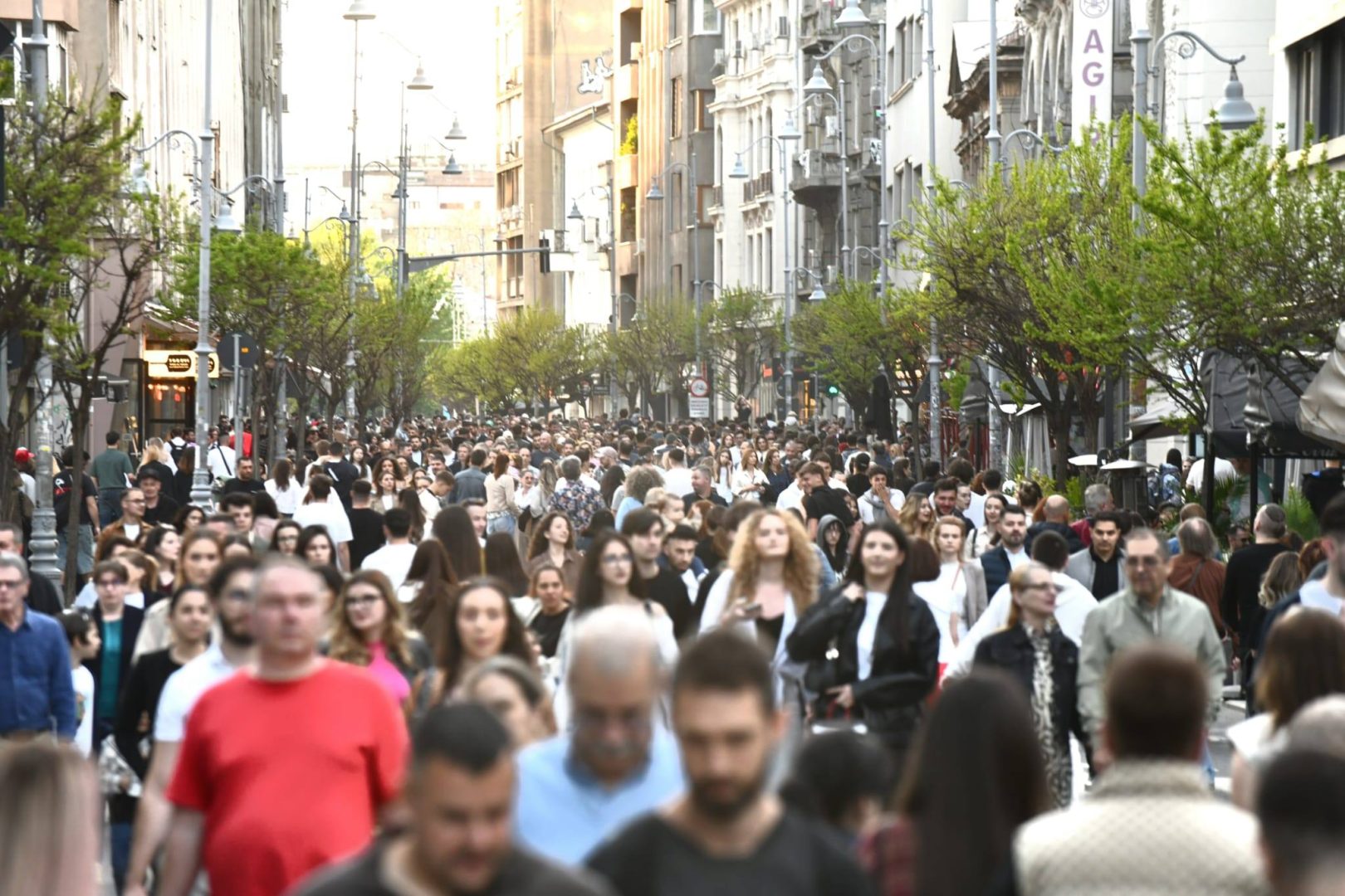 Calea Victoriei, printre cele mai poluate artere din București