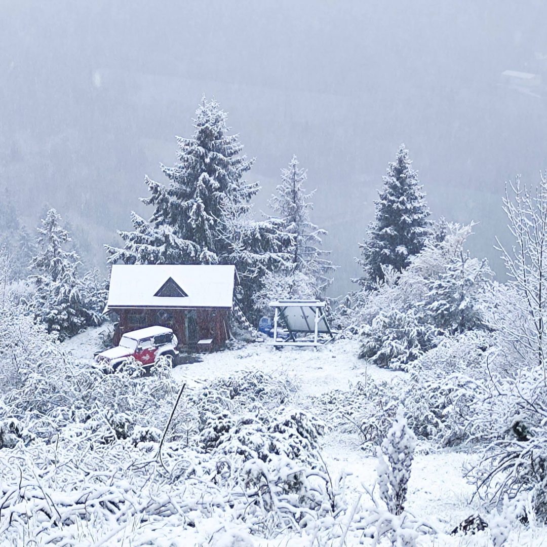 Prognoza meteo 1 mai. Vreme rece și ninsori ca în toiul iernii peste pomii înfloriți