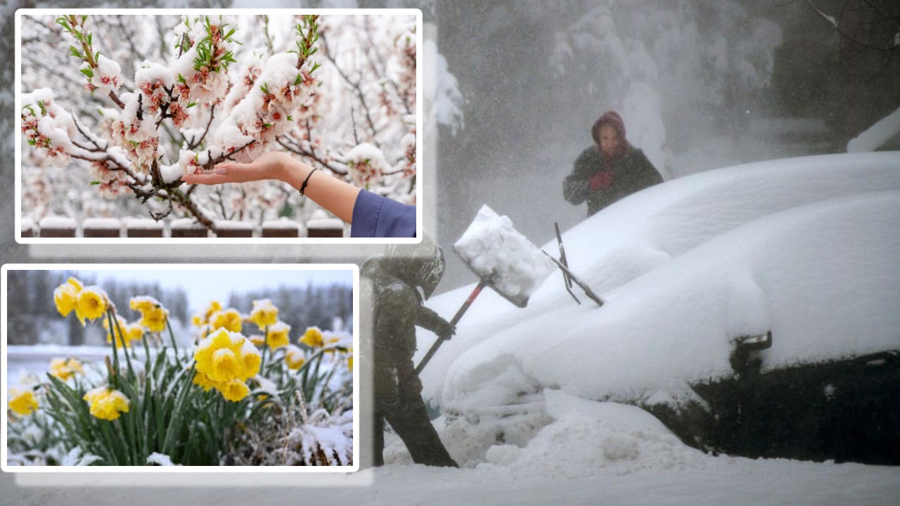 Meteorologii EaseWeather: Ninsorile se întorc în România începând cu 25 aprilie 2026