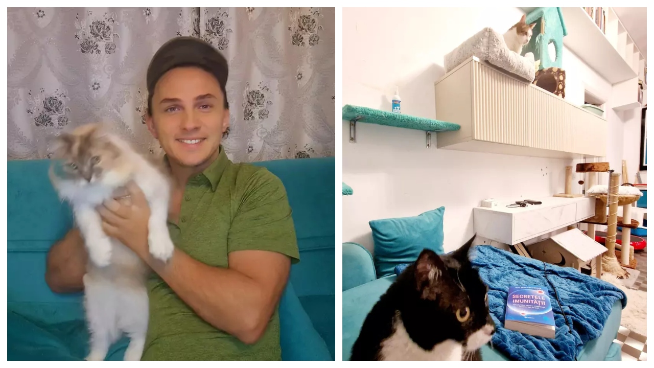 Pisicile, stăpâne în casa lui Mihai Trăistariu! Cum arată locuința artistului, după ce a amenajat-o după dorințele și nevoile felinelor. ”Nu mai e de mult casa mea!”