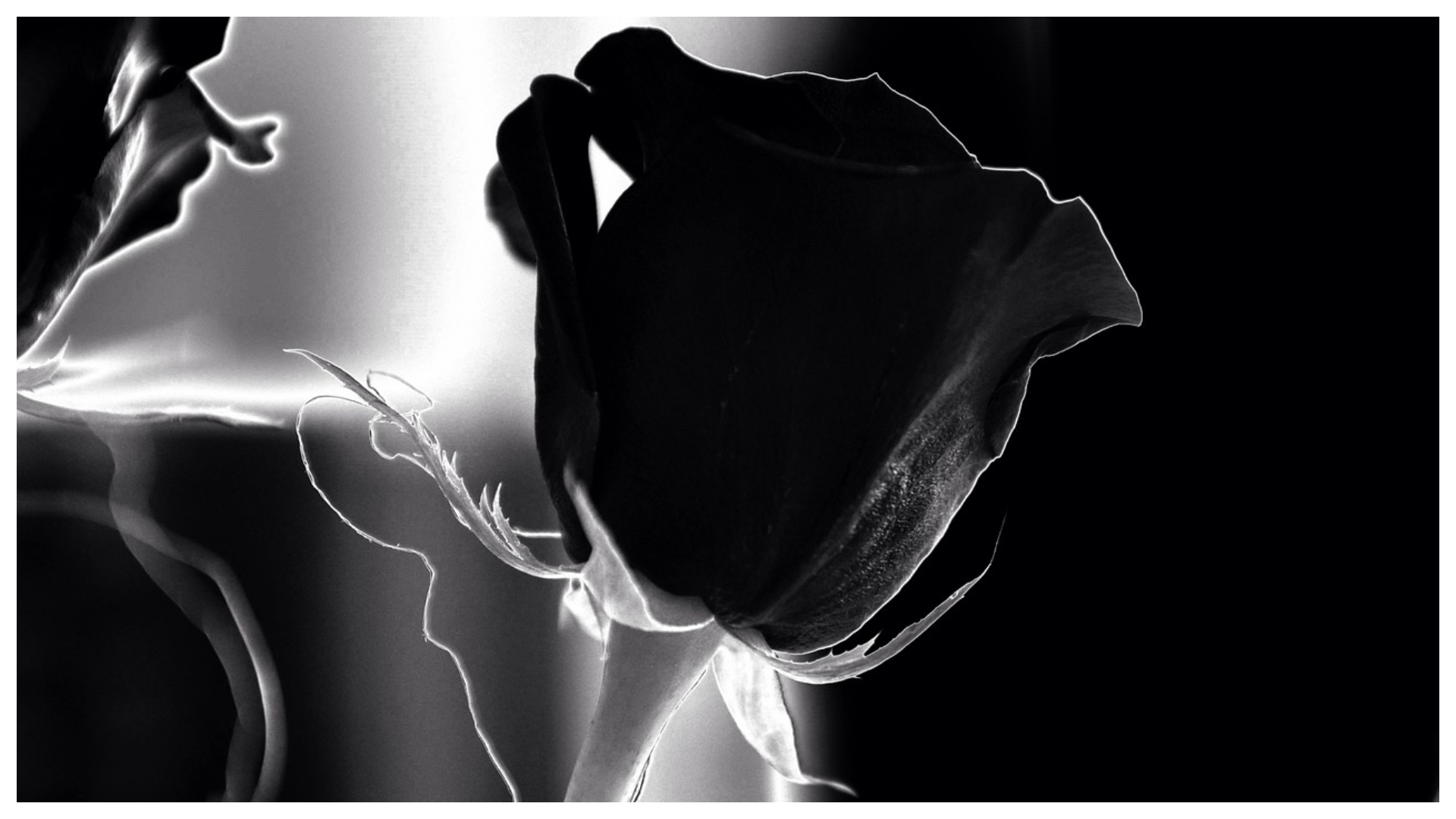 A murit un campion din „generaţia de aur”. Anunţul dureros făcut de federaţie: „Am aflat cu profundă tristeţe”