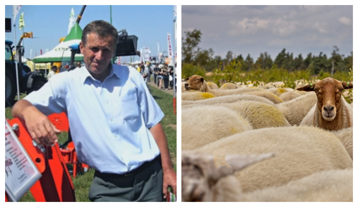 Un fermier din Galați renunță la ferma de oi după o viață de muncă: ”Nu mai pot, strămoșii mei se întorc în mormânt”