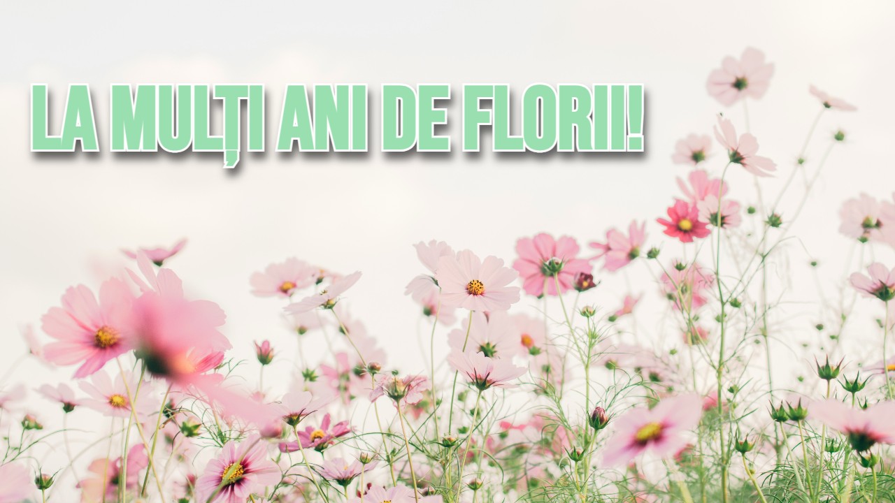 Nume sărbătorite de Florii 2026. Ce români își serbează onomastica și ce semnificație au cele mai populare nume de flori