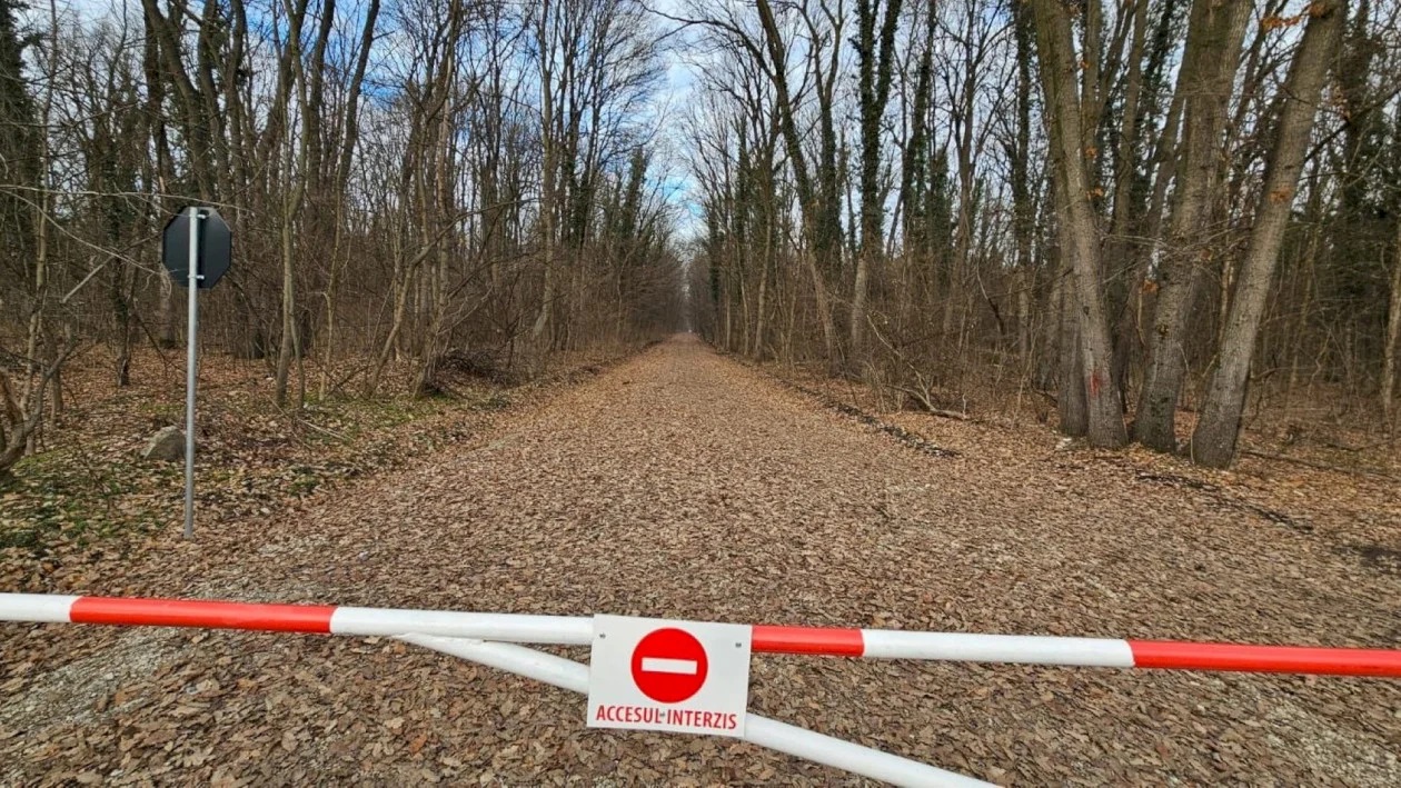 Poziția Federației Greenfield după ce Romsilva a anunțat că vrea să oprească accesul auto prin Pădurea Băneasa: ”Măsură abuzivă și nejustificată la adresa a peste 6.000 de cetățeni”