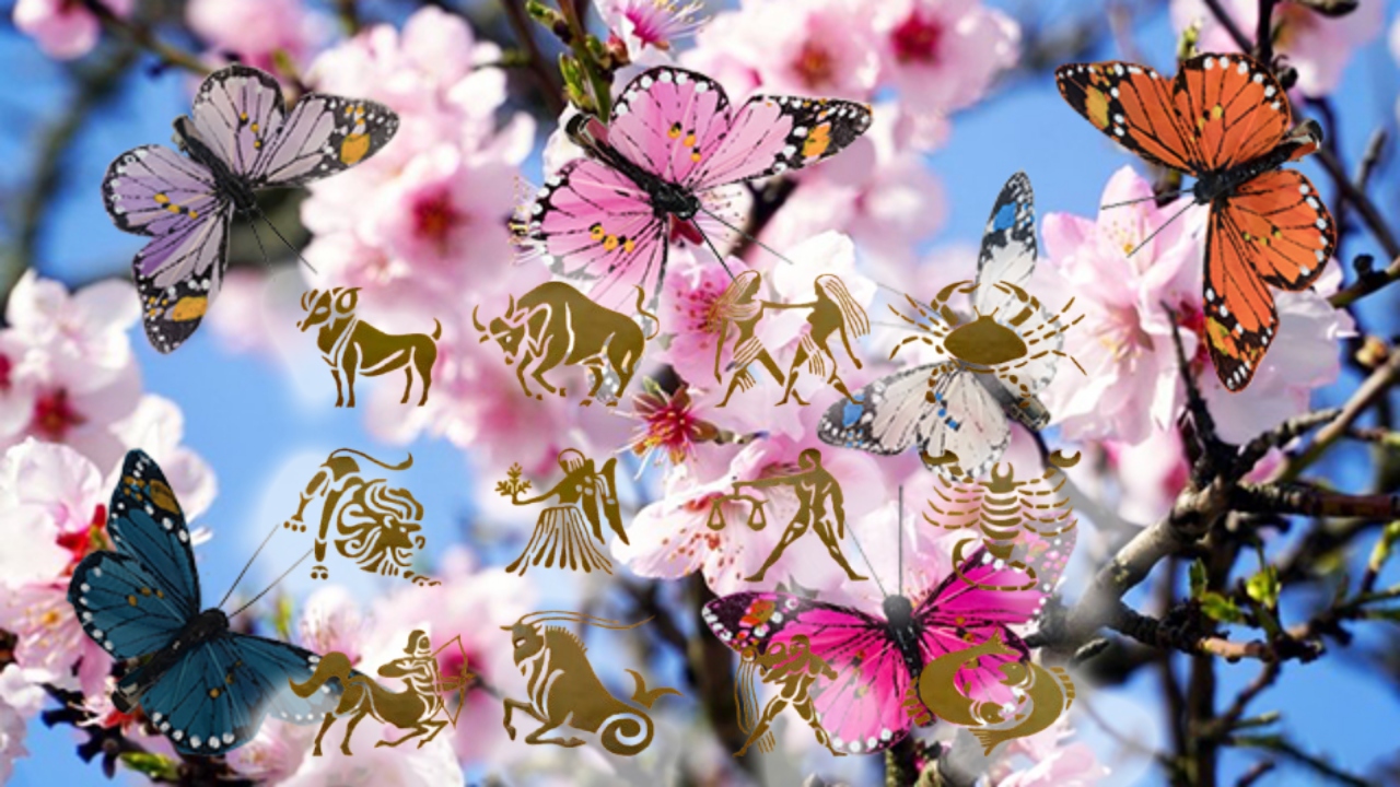 Horoscop 29 aprilie 2026. Zodia care va fi în centrul atenției pe parcursul întregii zile