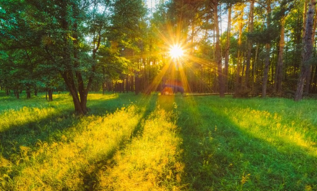 Meteorologii Accuweather: Luna mai, una dintre cele mai călduroase perioade. Ce temperaturi vor fi în București