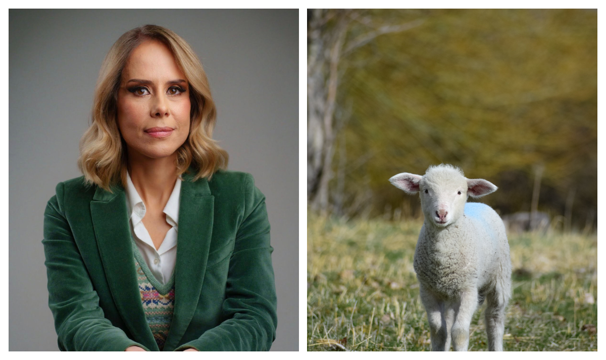 De ce e atât de scumpă carnea de miel. Mihaela Bilic dezvăluie cât de sănătoasă este, de fapt