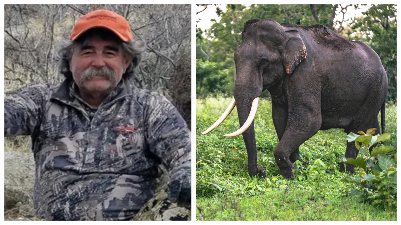 Un milionar a murit în condiții horror. A plecat la vânătoare de antilope și a fost ucis de elefanți!