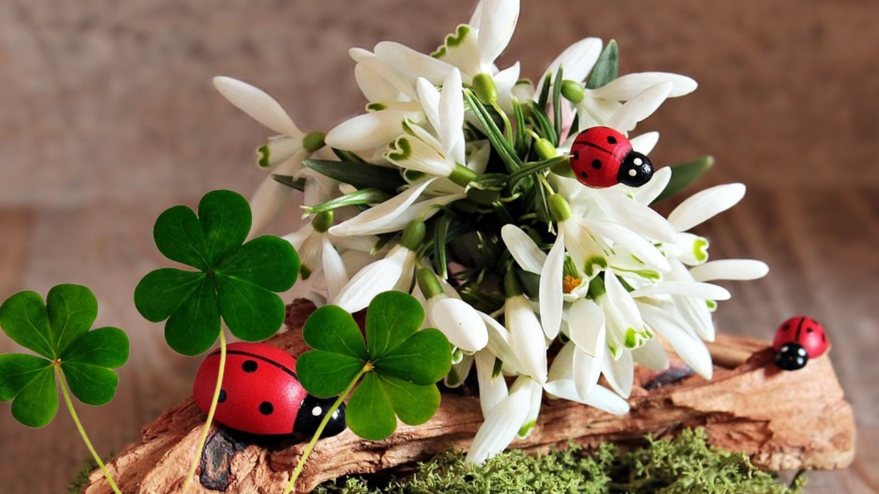 Horoscop 10 aprilie 2026. Controlează-ți impulsul de a face cheltuieli pripite din dorința de a impresiona!