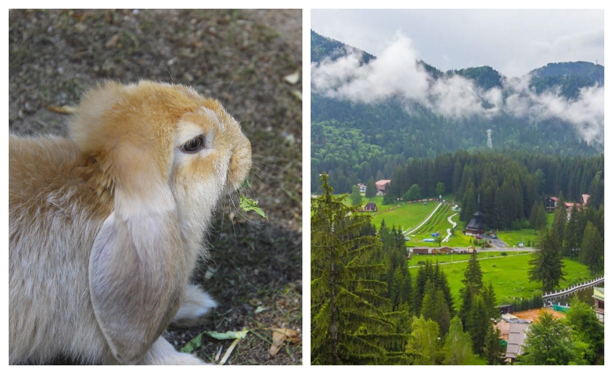 Hotelurile și pensiunile din țară sunt goale anul acesta de Paște. Tot mai mulți români aleg să petreacă sărbătorile acasă: ”E mai ieftin”