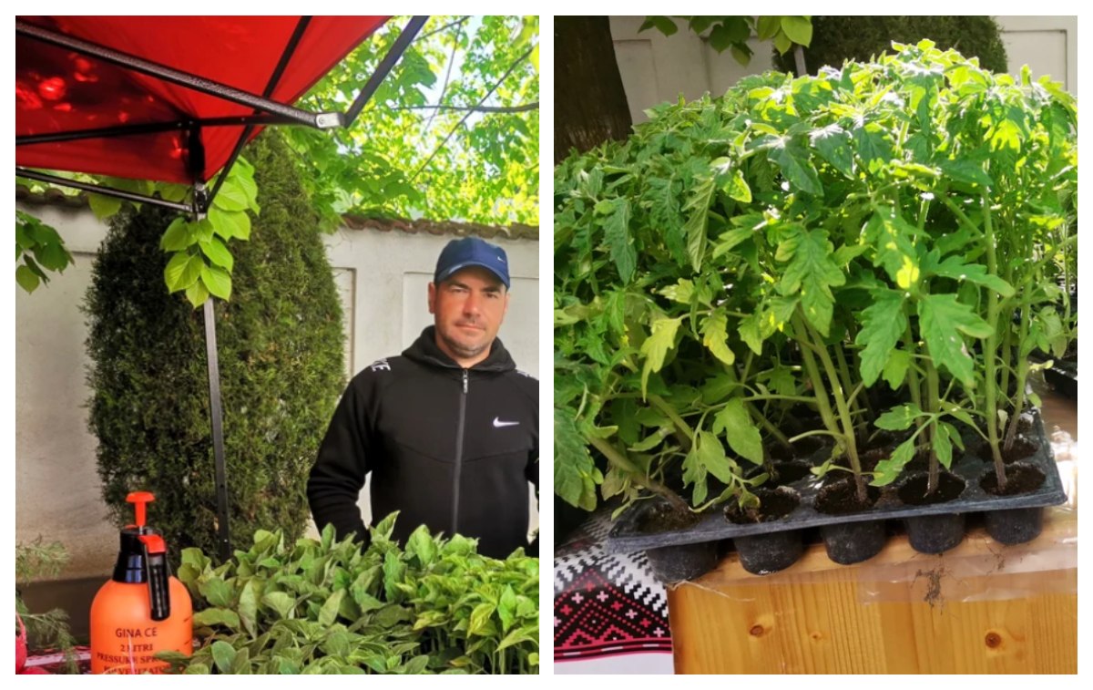 Povestea unui român întors din străinătate care vrea să facă agricultură în România: ”E greu să te dezvolți, prea multă birocrație”