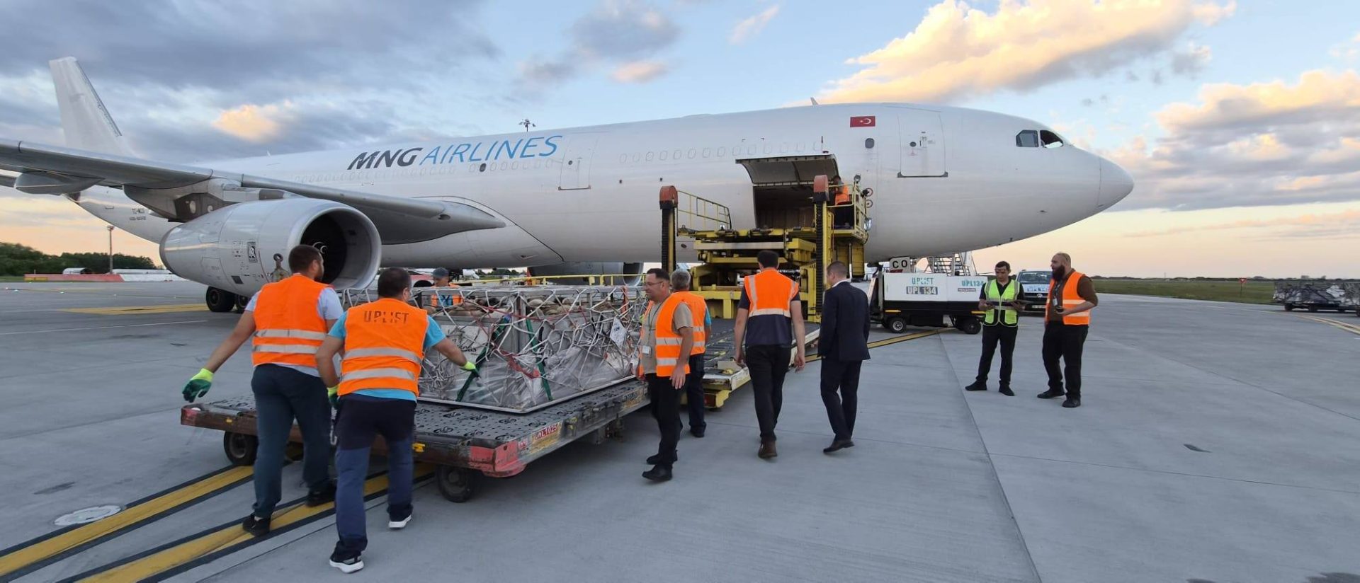 Ciobanii români au reconfigurat traseul. 4.000 de oi ajung în Algeria cu avioane cargo, nu pe cale maritimă VIDEO