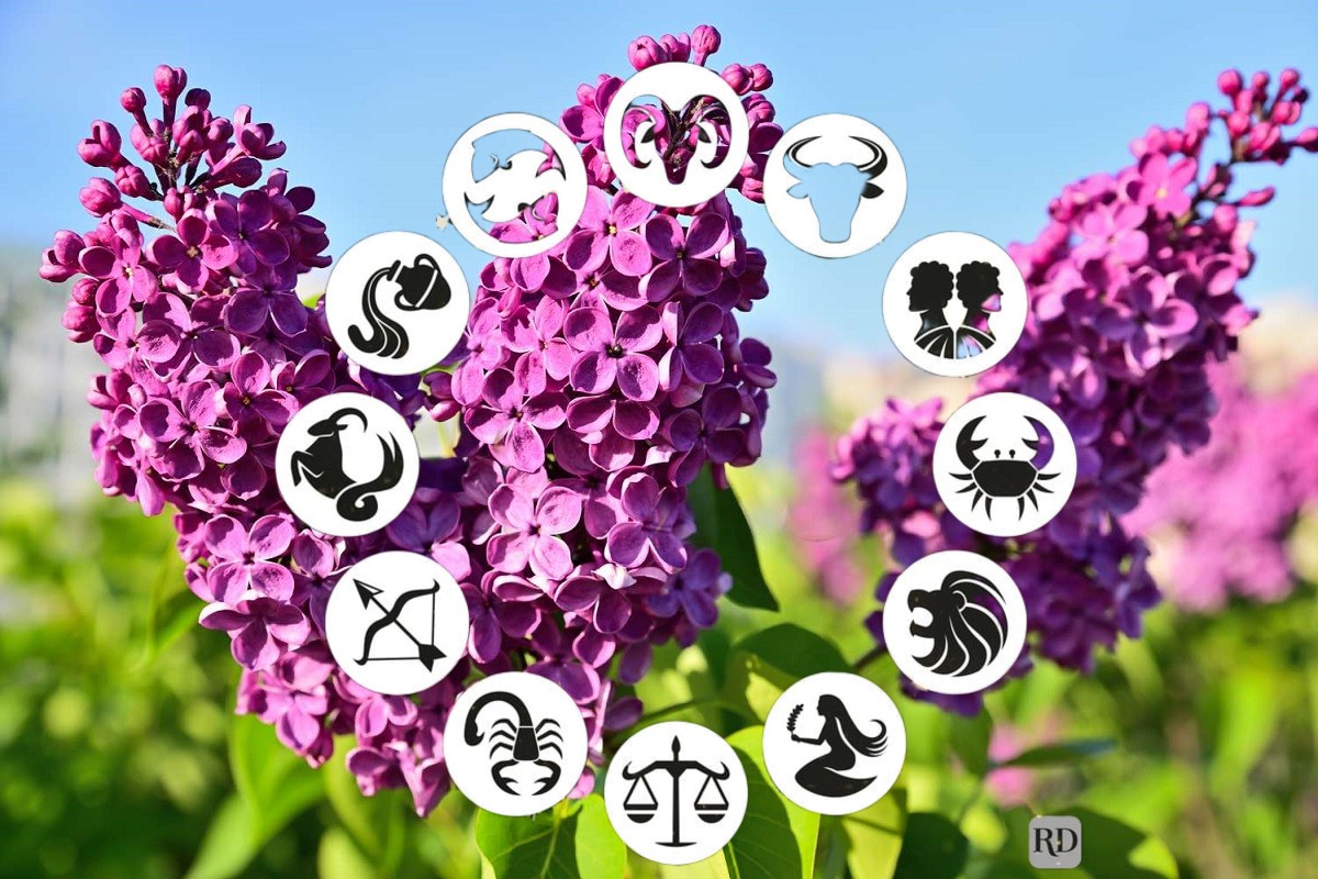 Horoscop 3 mai 2026. Nativii manifestă o dorință mai mare de libertate și autenticitate. Mulți vor simți nevoia să își depășească limitele și să renunțe la obiceiuri care nu le mai fac bine