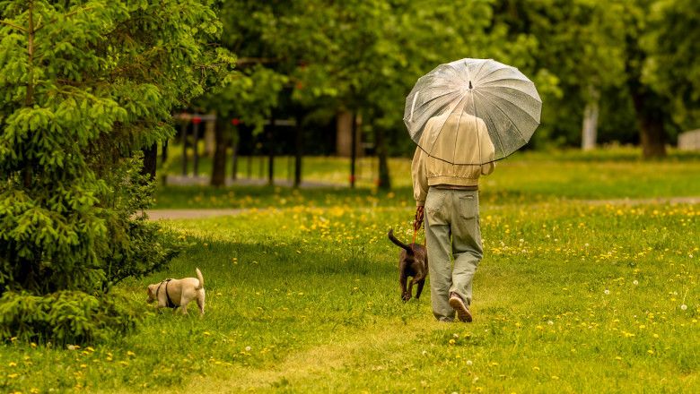 Prognoza meteo lunară. Vine vara, vreme de umbrelă de soare. Fenomenul care poate aduce caniculă, secetă și furtuni violente în România