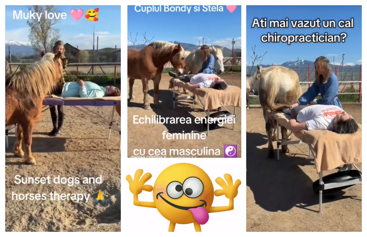 Industria calului înfloreşte pe TikTik. Cum să faci bani cu terapie craniosacrală „la coada calului”. Se vindecă relaţiile dacă te laşi abandonat în „vastitatea Fiinţei tale”!