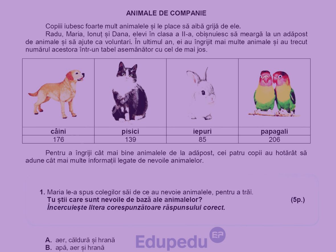 Evaluare Națională clasa a II-a. Subiecte la Matematică și Explorarea mediului