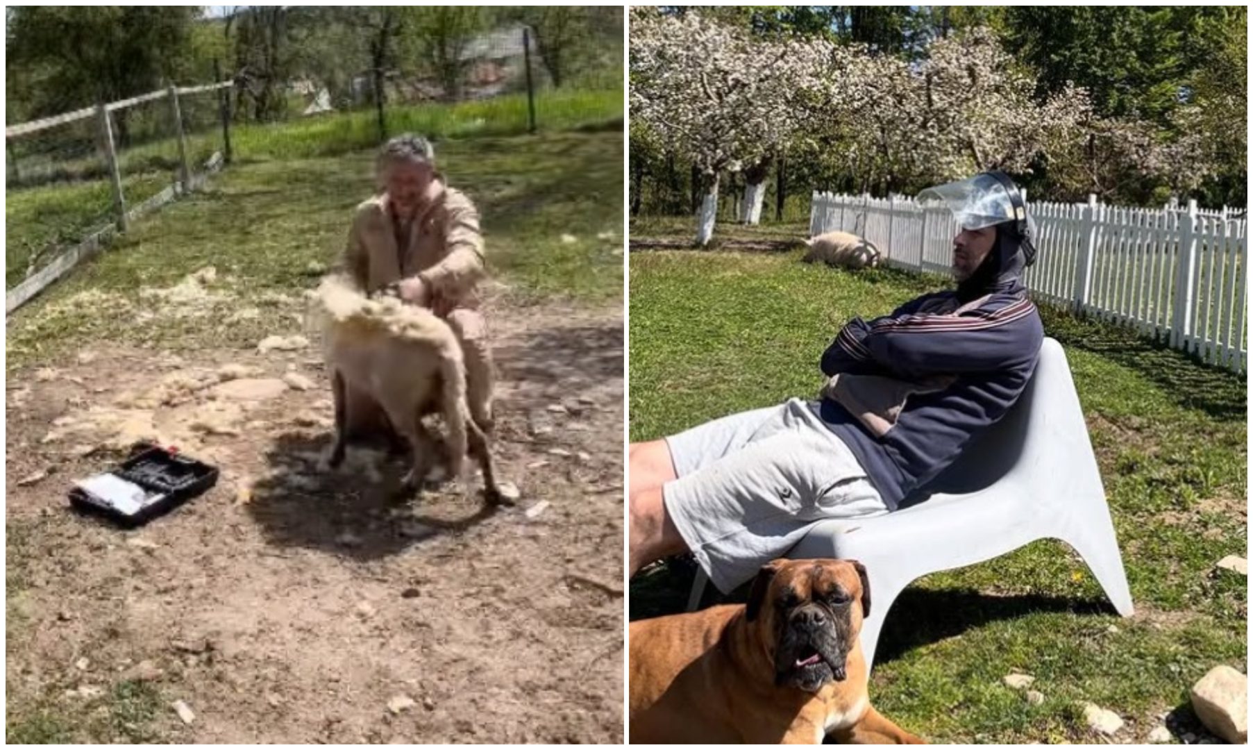 Cum arată acum gospodăria lui Dragoș Bucur. Cele mai noi imagini cu viața la țară a artistului