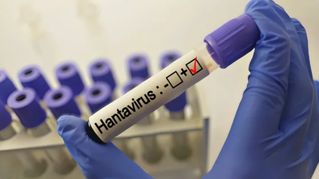 Primul caz de hantavirus, confirmat în România! Reacția Institutului Național de Sănătate Publică
