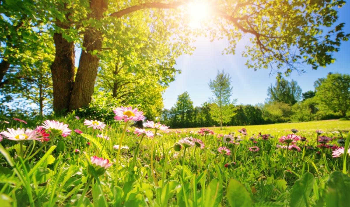 Prognoza meteo 5 mai. Temperaturi de vară și ploi în România. Termometrele vor urca spre 28 de grade