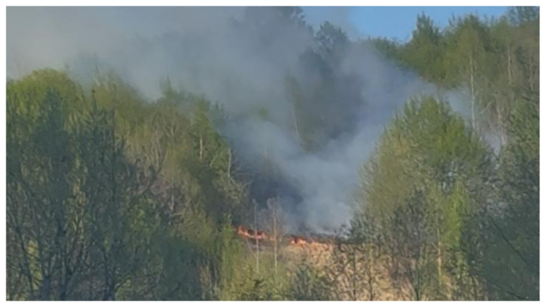 Incendiu de pădure pe Valea Anieşului. Focul a pornit de la o ţigară aruncată aprinsă